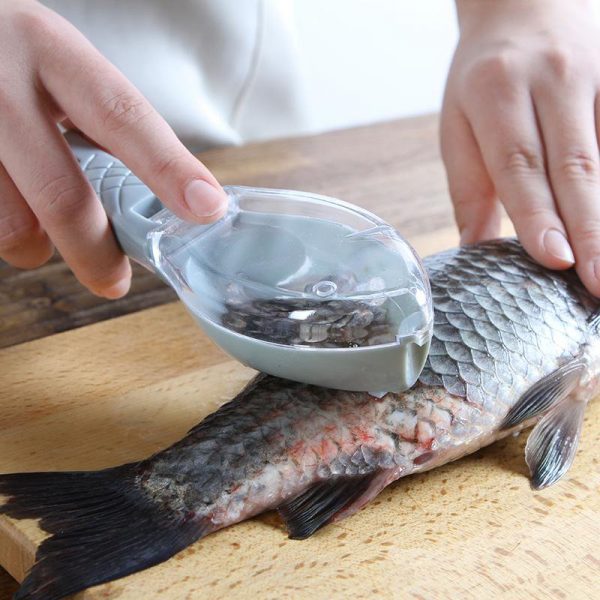 Écailleur à poisson avec son réservoir